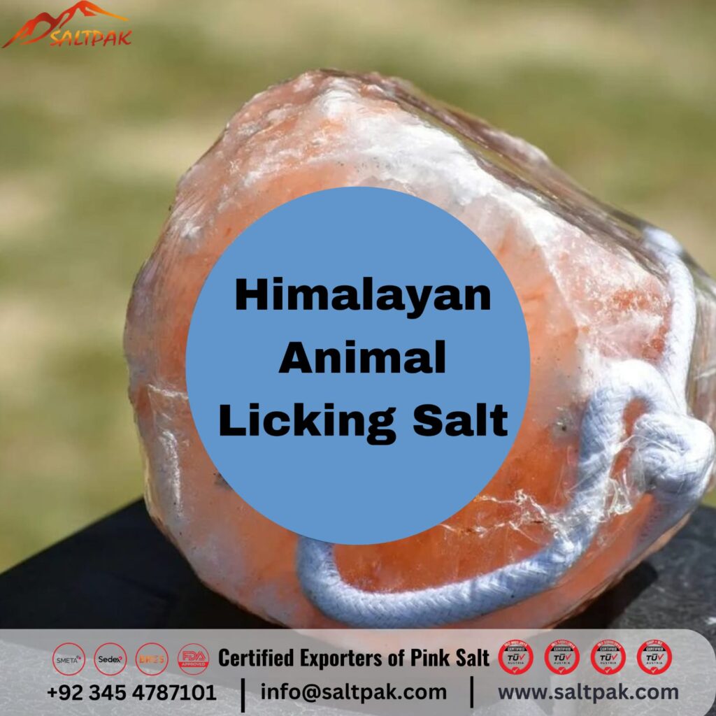 Himalayan salt for pets