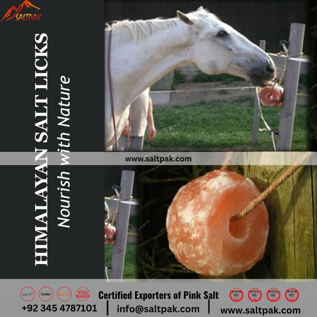 Himalayan Salt for Pets and Animals
