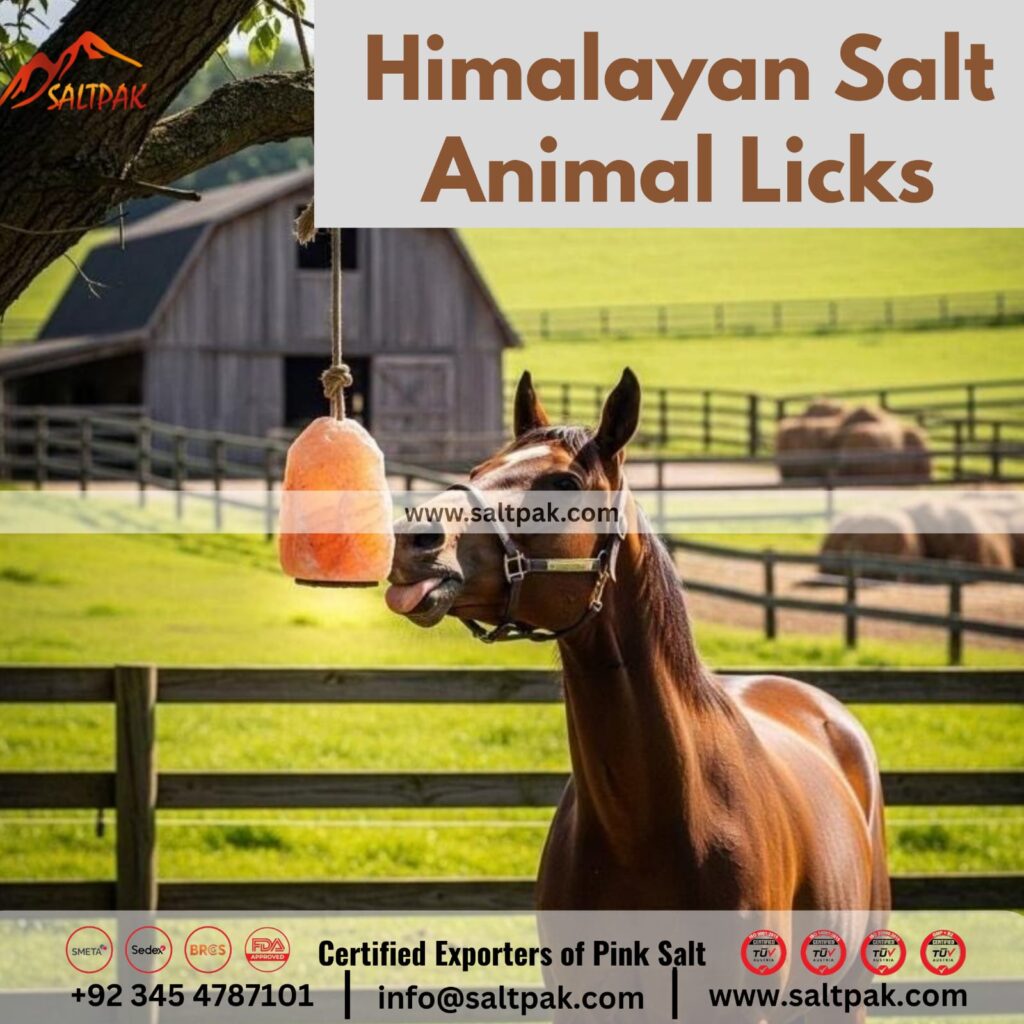 Himalayan Salt Animal Licks